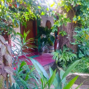  Alloggio in famiglia Gangula Eco Sri Lanka